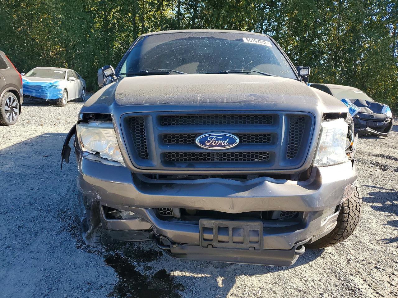 2005 Ford F150 Supercrew Gray vin: 1FTPW14585KE79787