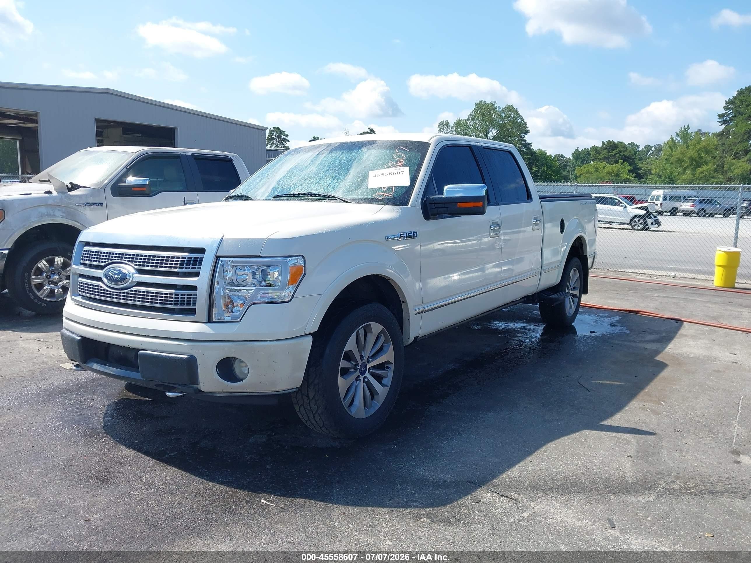 2009 Ford F-150 Platinum White vin: 1FTPW14V09FA71752