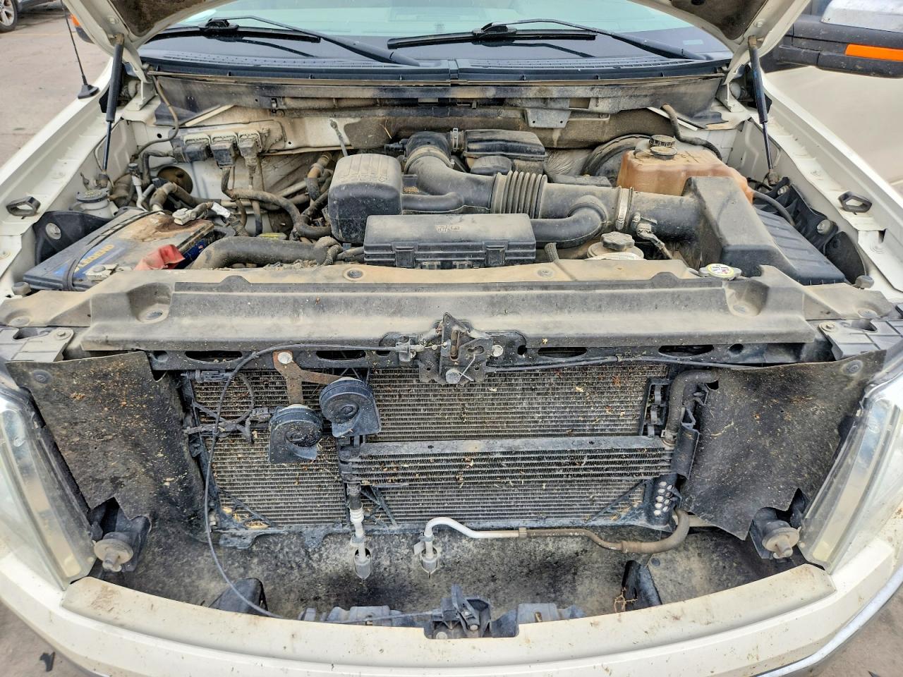 2009 Ford F150 Supercrew Cream vin: 1FTPW14V49FA11750