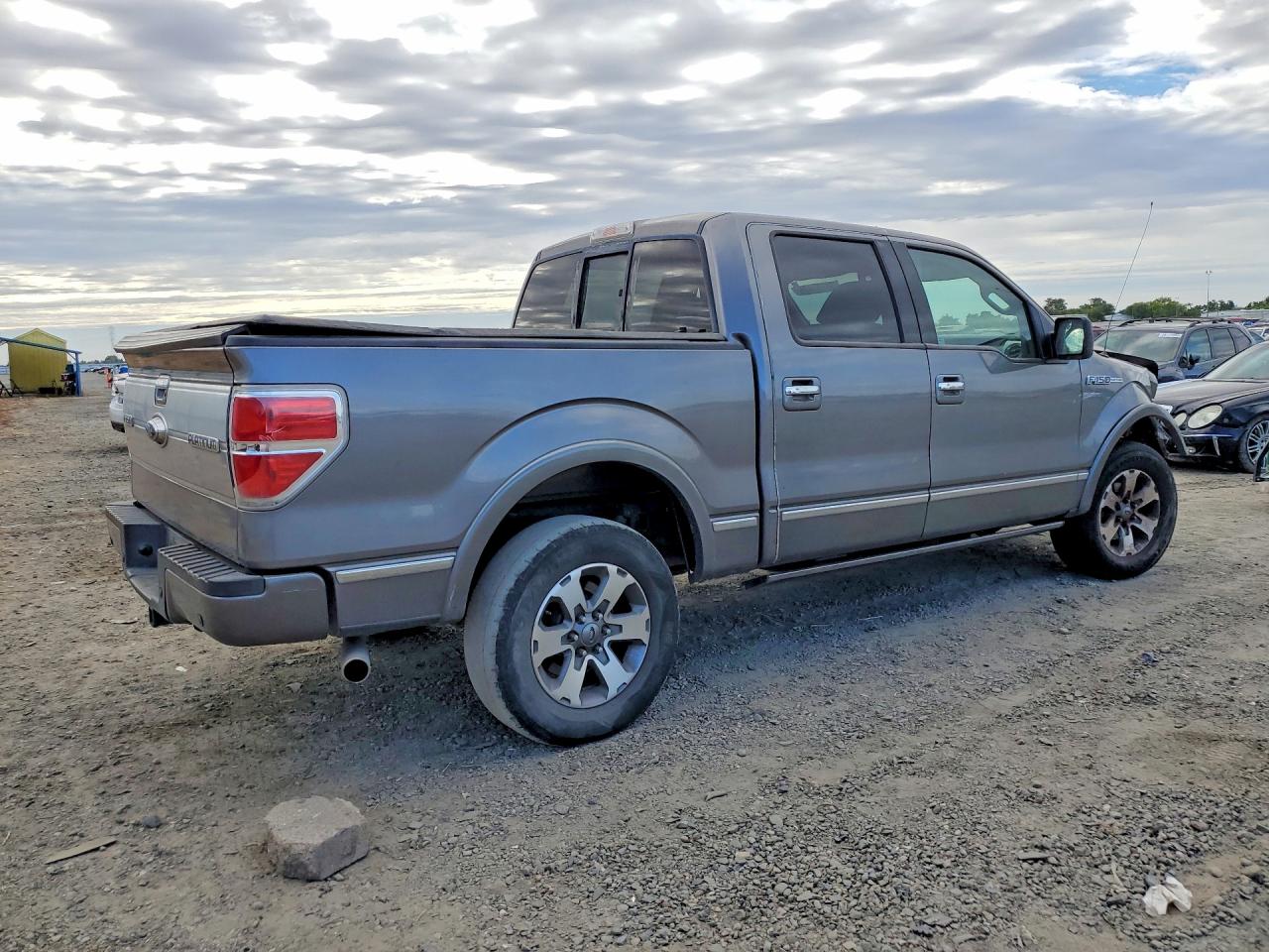 2009 Ford F150 Supercrew Серый vin: 1FTPW14V59FA74680