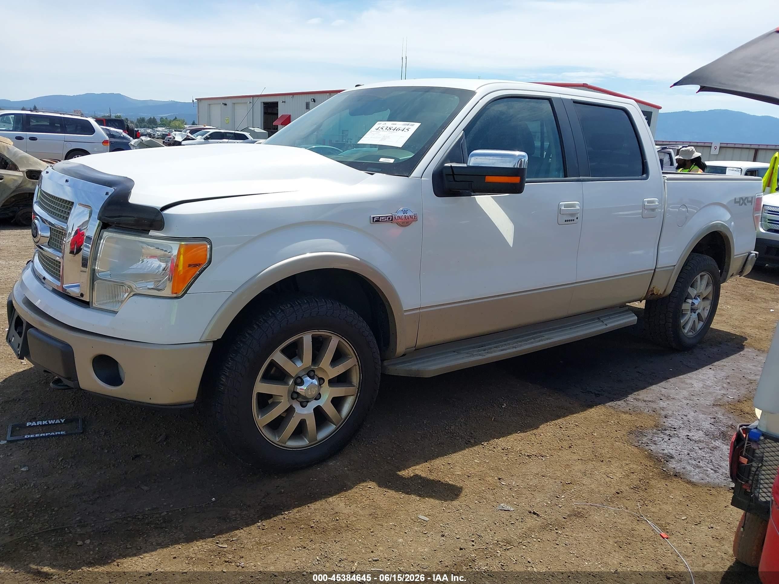 2009 Ford F-150 Fx4/king Ranch/lariat/platinum/xl/xlt White vin: 1FTPW14V79KA66653