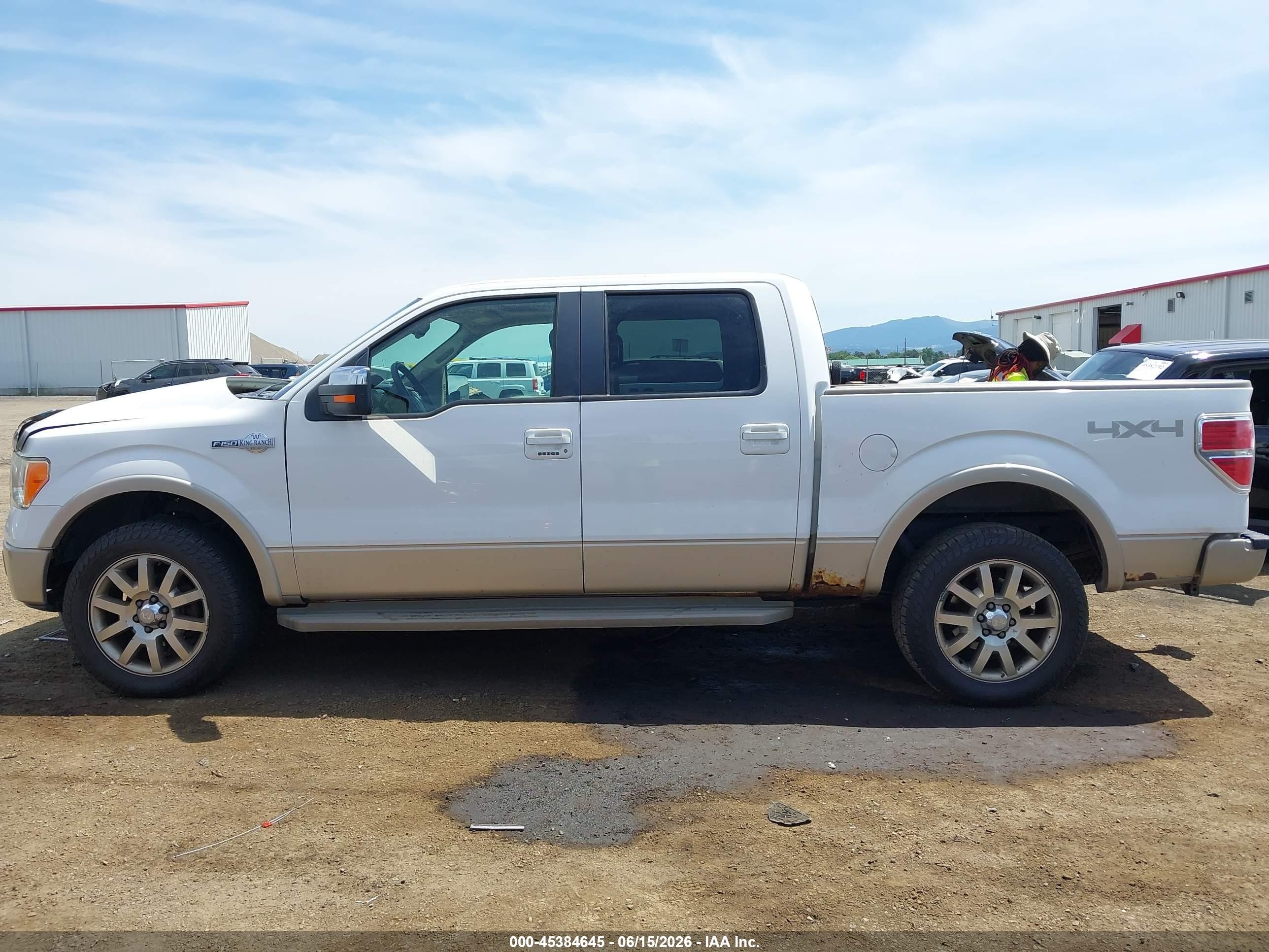 2009 Ford F-150 Fx4/king Ranch/lariat/platinum/xl/xlt White vin: 1FTPW14V79KA66653