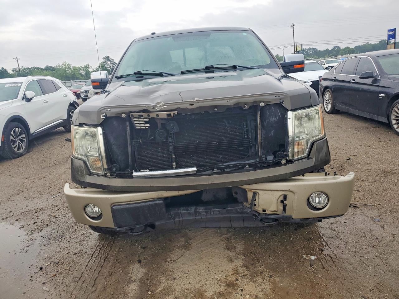2009 Ford F150 Supercrew Green vin: 1FTPW14V79KB99736