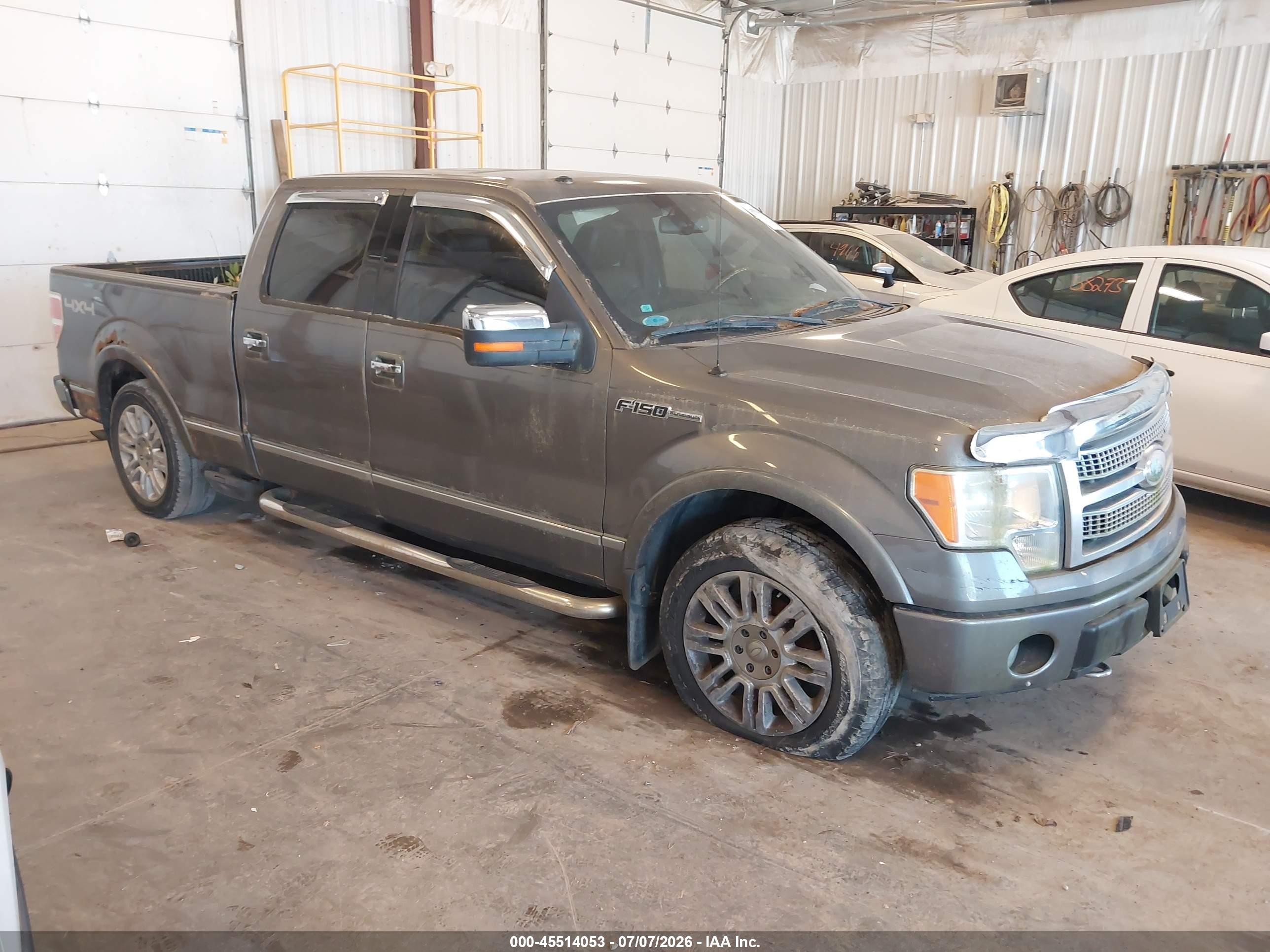 2009 Ford F-150 Platinum Gray vin: 1FTPW14V89FA04462