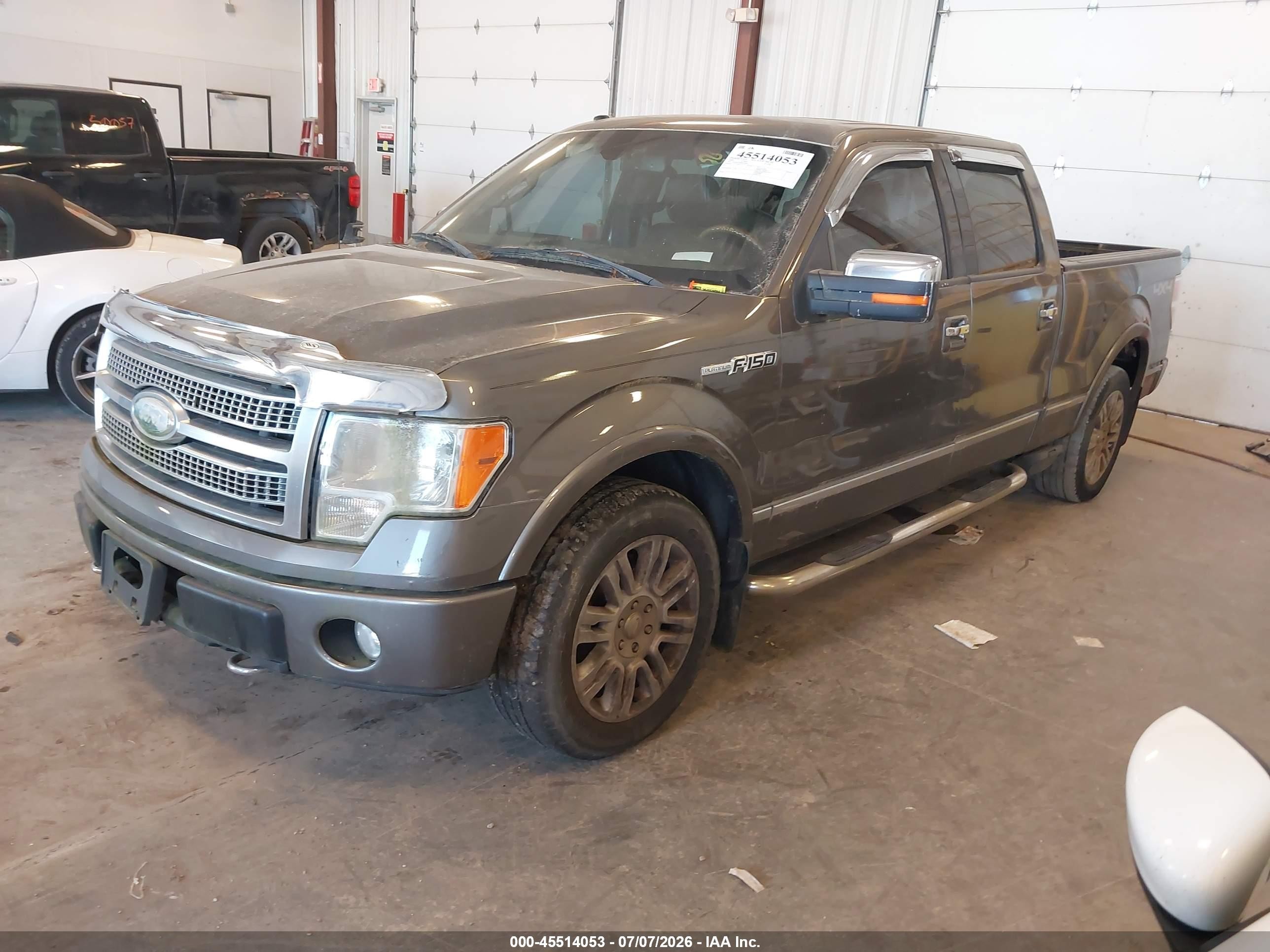 2009 Ford F-150 Platinum Gray vin: 1FTPW14V89FA04462