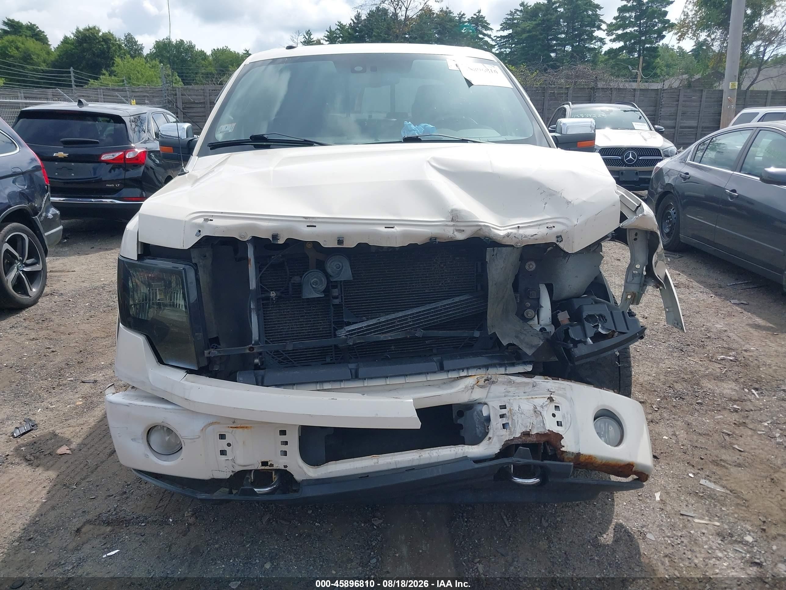 2009 Ford F-150 Platinum White vin: 1FTPW14V89FA34402