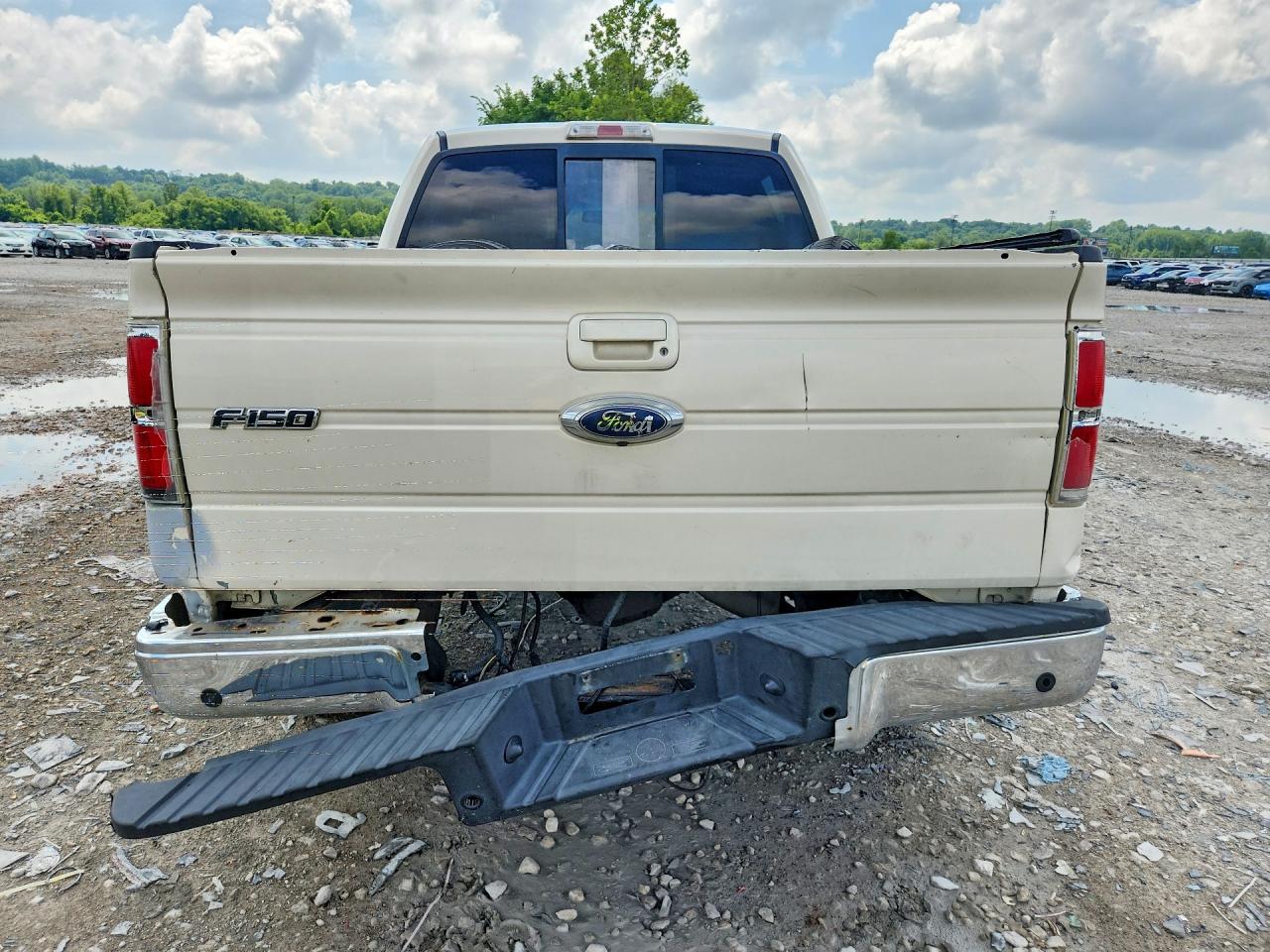 2009 Ford F150 Supercrew Белый vin: 1FTPW14V99FA42234