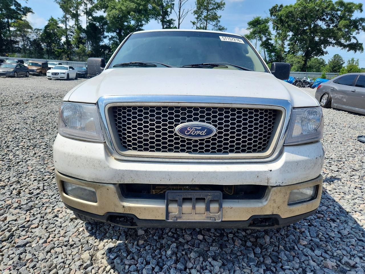 2004 Ford F150 White vin: 1FTPX12544NB36021