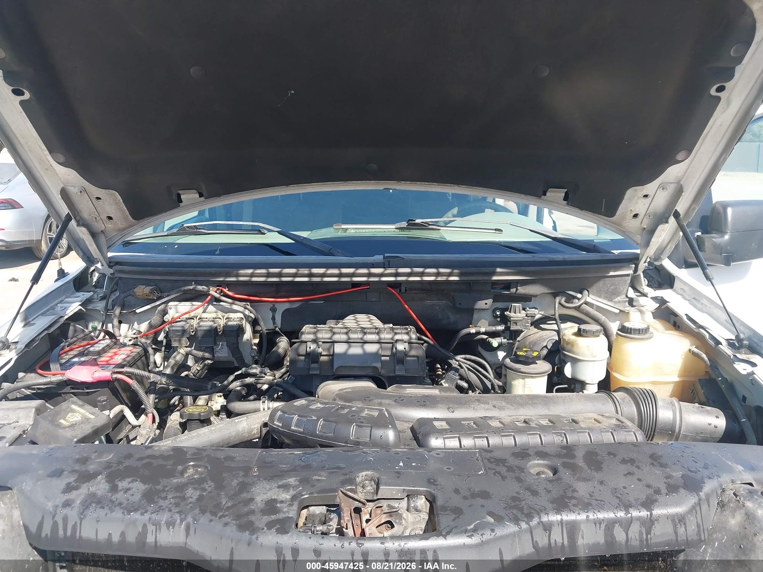2004 Ford F-150 Lariat/xl/xlt Белый vin: 1FTPX12554KD89009