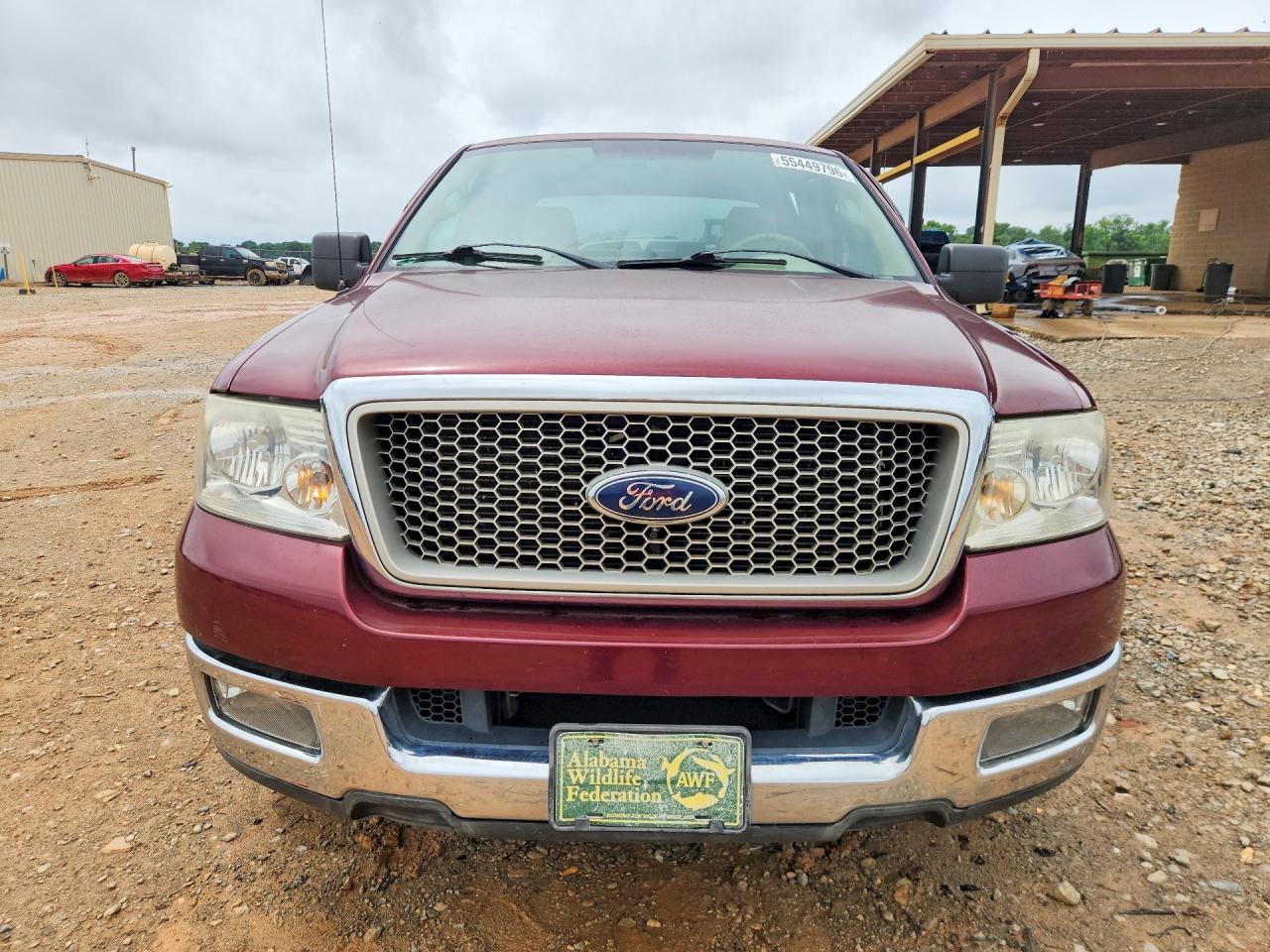 2004 Ford F150 Burgundy vin: 1FTPX12564NA33893