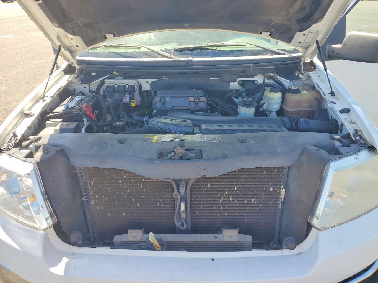 2004 Ford F150 White vin: 1FTPX12564NC37464