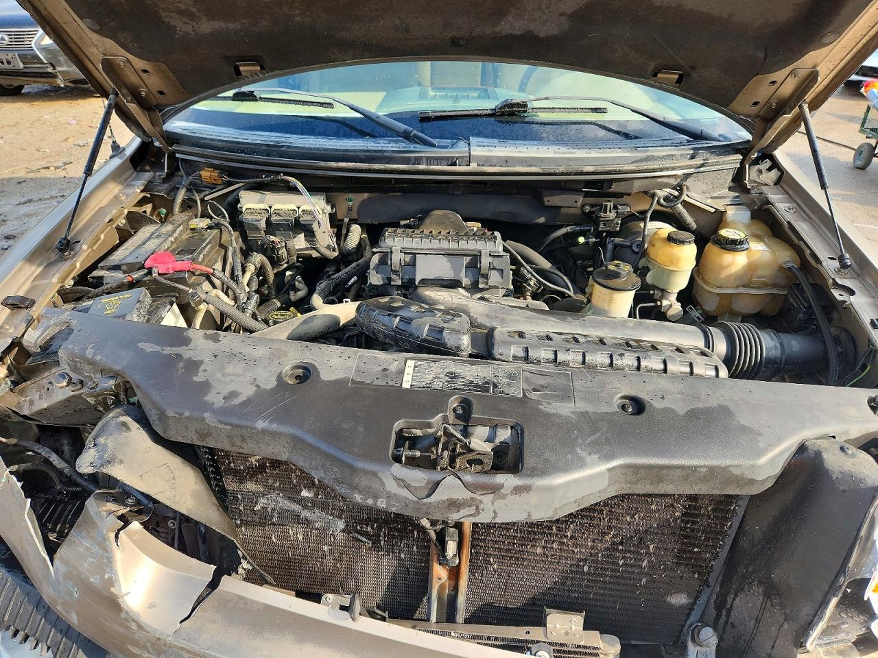 2005 Ford F150 Tan vin: 1FTPX12565NB19609