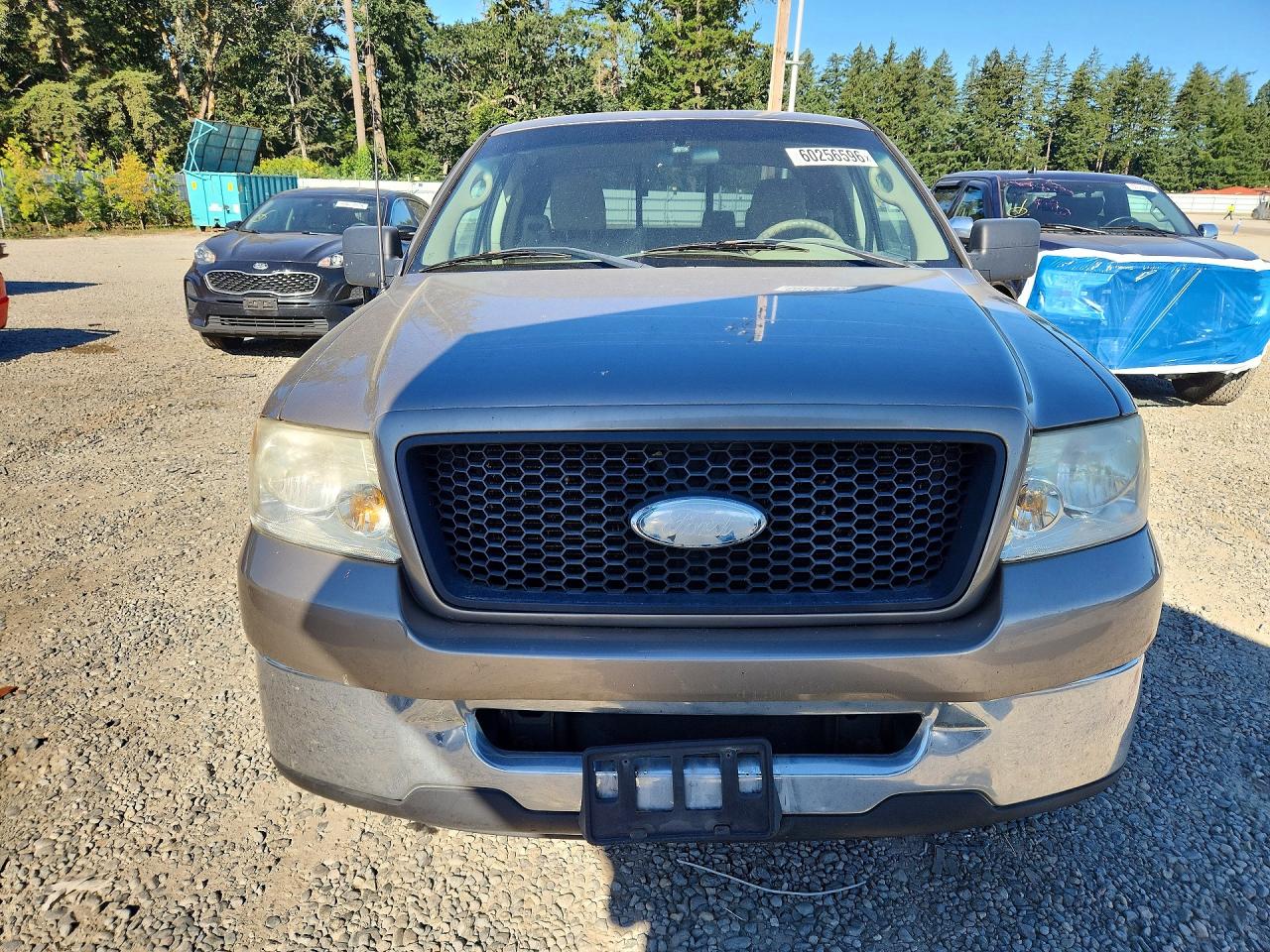 2006 Ford F150 Tan vin: 1FTPX12576FA27033