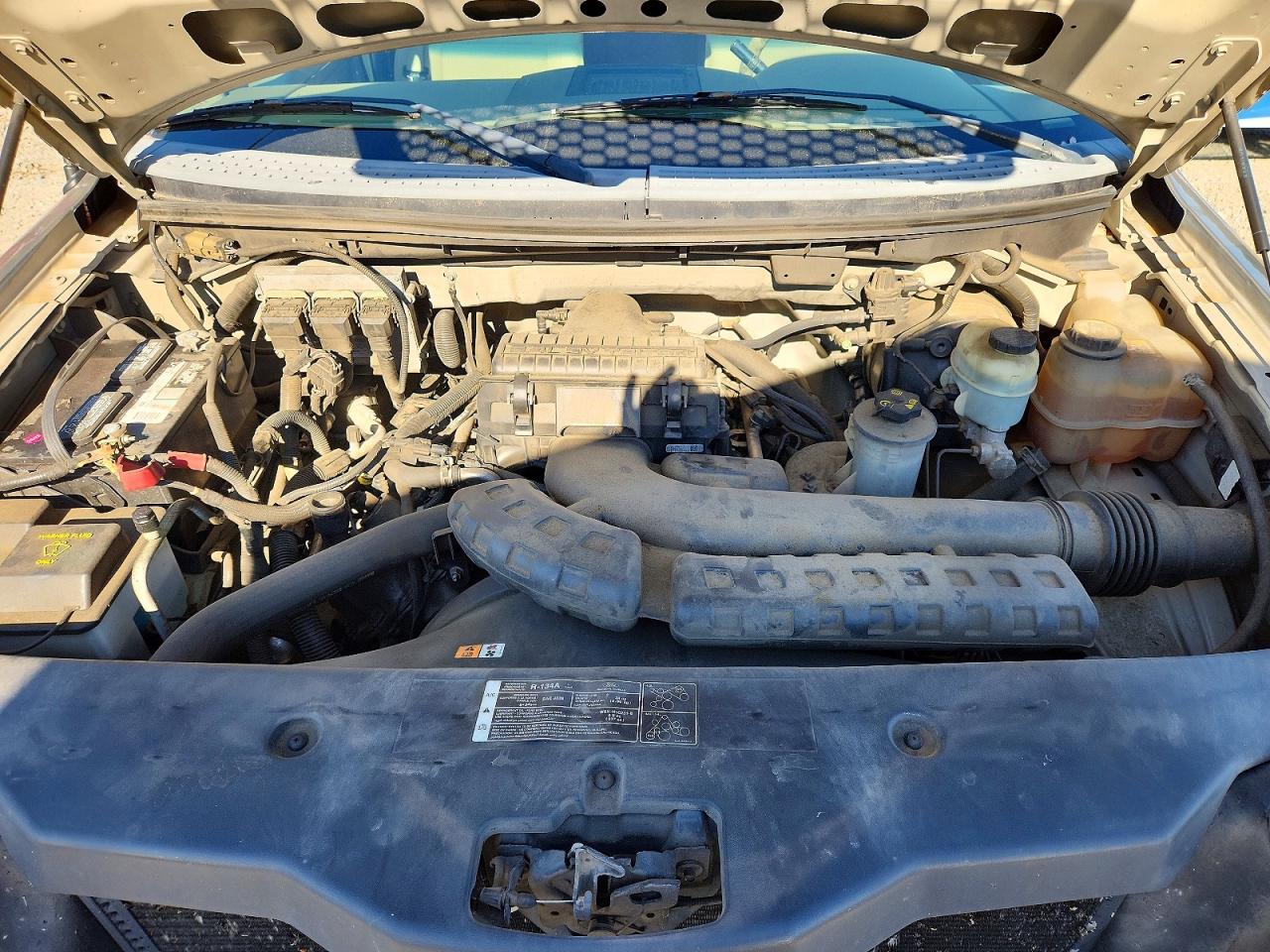 2006 Ford F150 Tan vin: 1FTPX12576FA27033