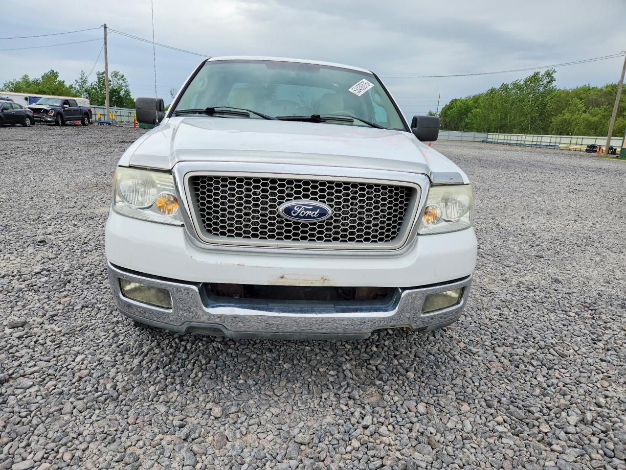 2004 Ford F150 Белый vin: 1FTPX12584NB75243