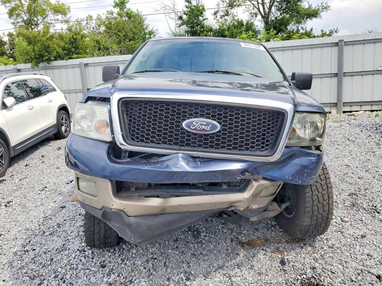 2005 Ford F150 Синий vin: 1FTPX12585FB75089