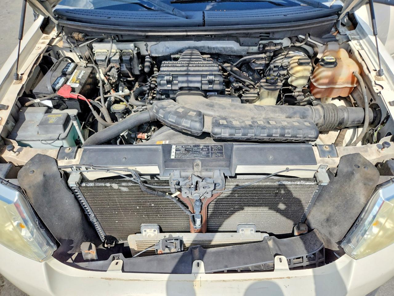 2008 Ford F150 White vin: 1FTPX12V58FA31570