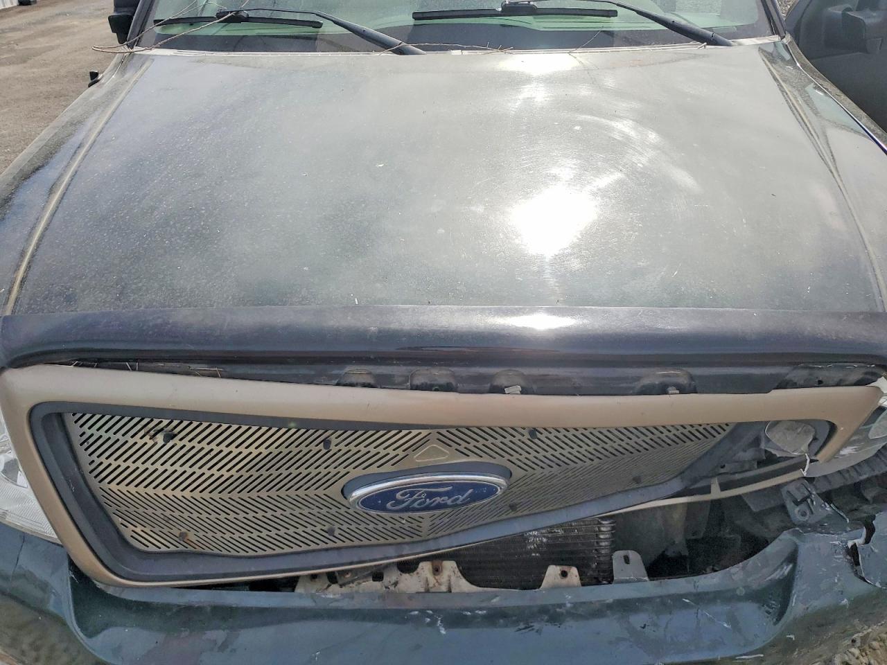 2004 Ford F-150 Green vin: 1FTPX14504KA90685