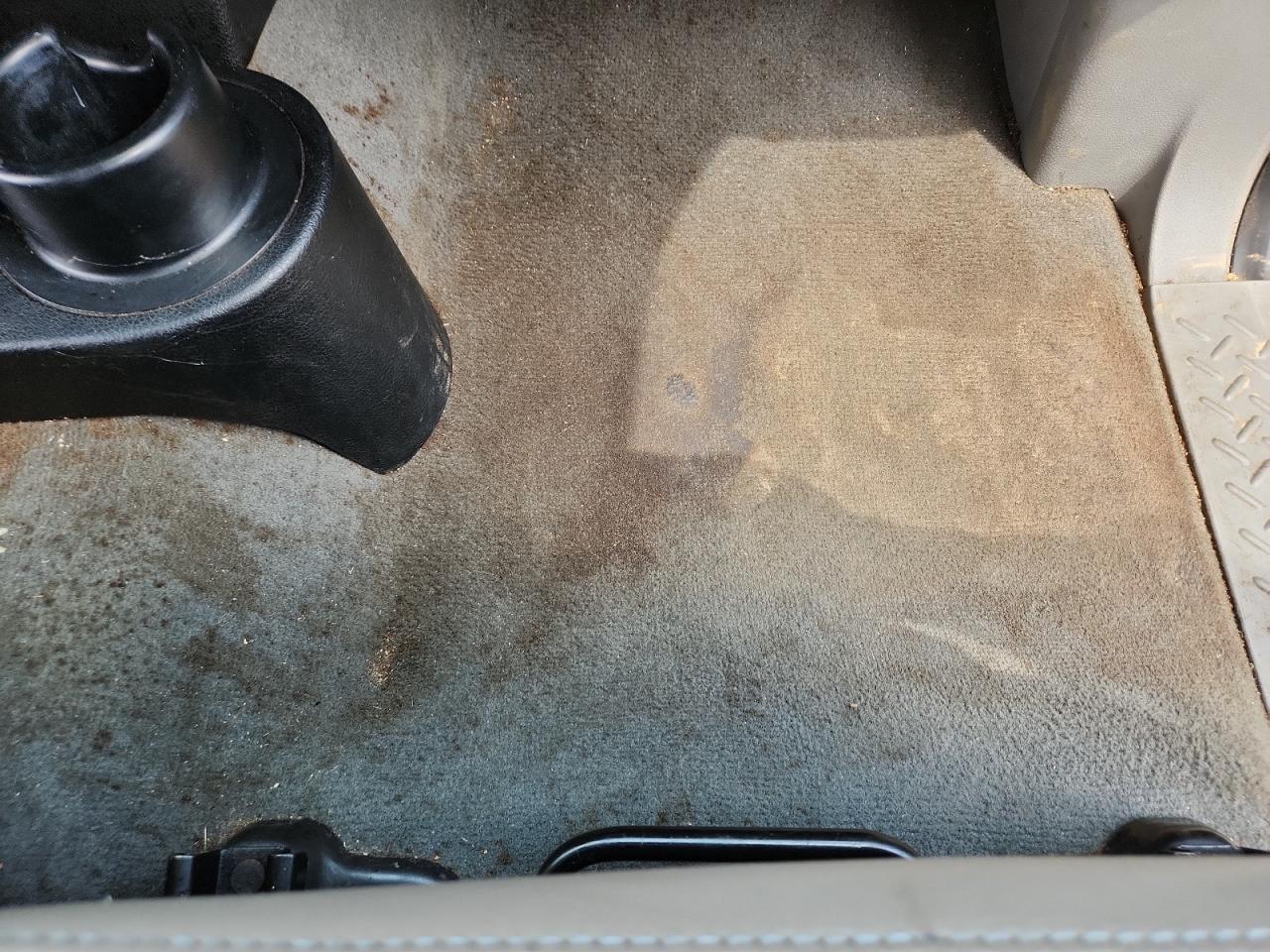 2006 Ford F150 Brown vin: 1FTPX14536FA34509 Damage: Right Front Carpet, Stained, Permanent