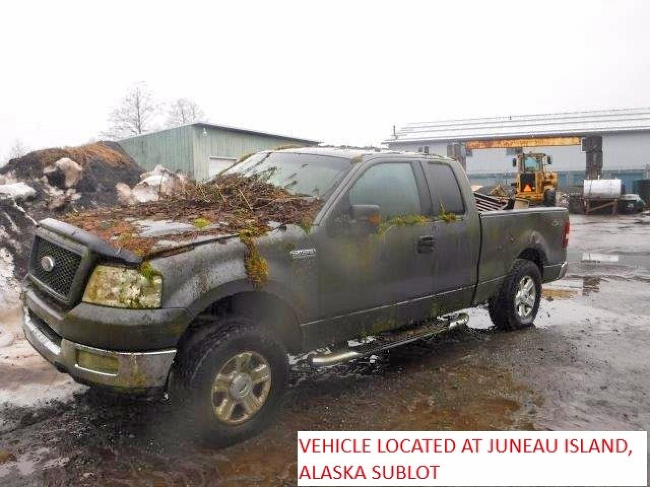 2004 Ford F150 Gray vin: 1FTPX14554NA28570