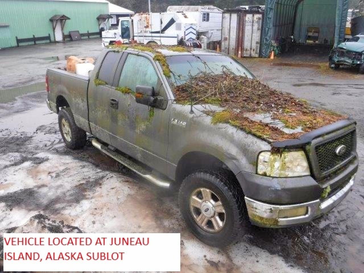 2004 Ford F150 Gray vin: 1FTPX14554NA28570