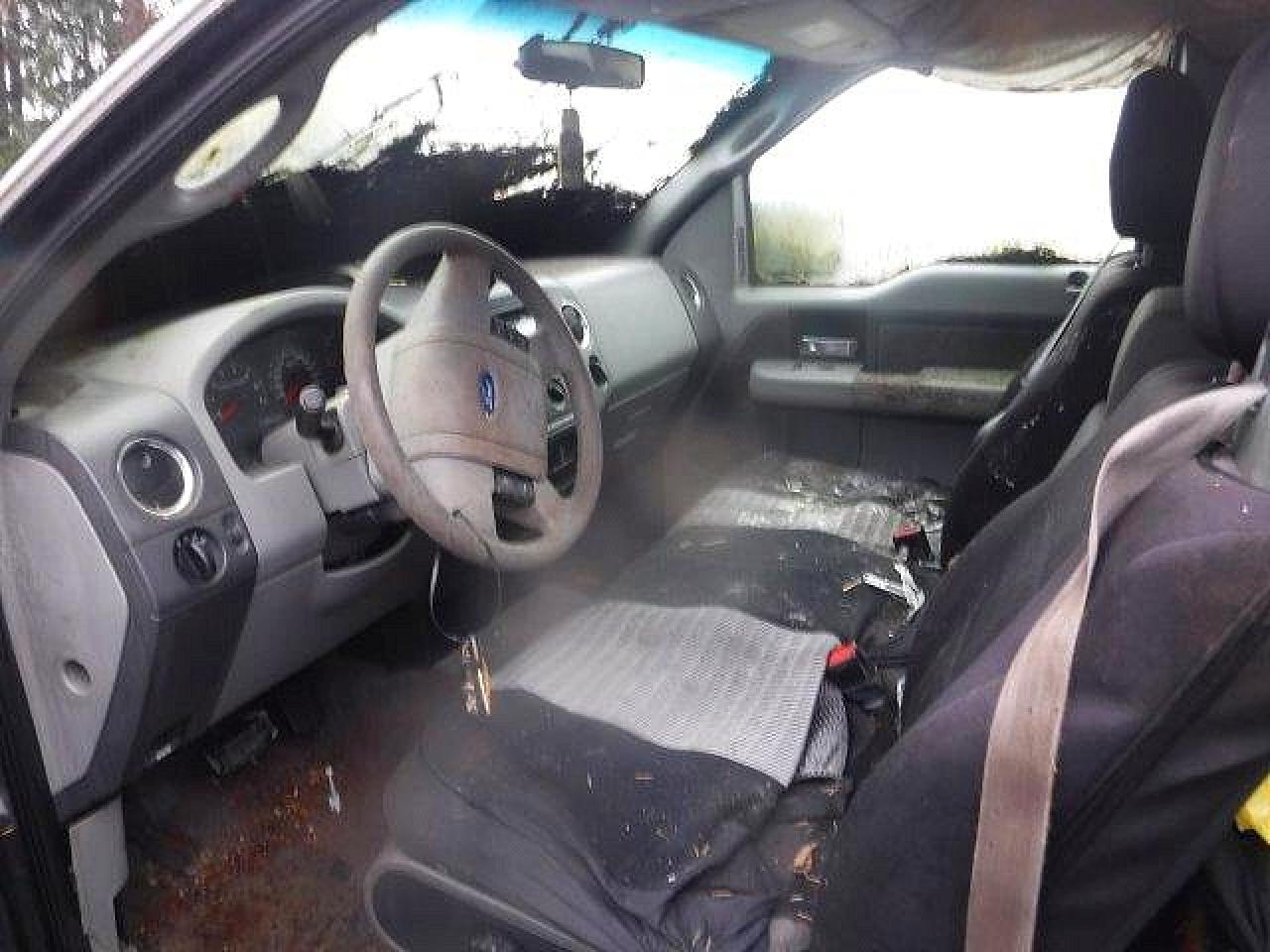 2004 Ford F150 Gray vin: 1FTPX14554NA28570