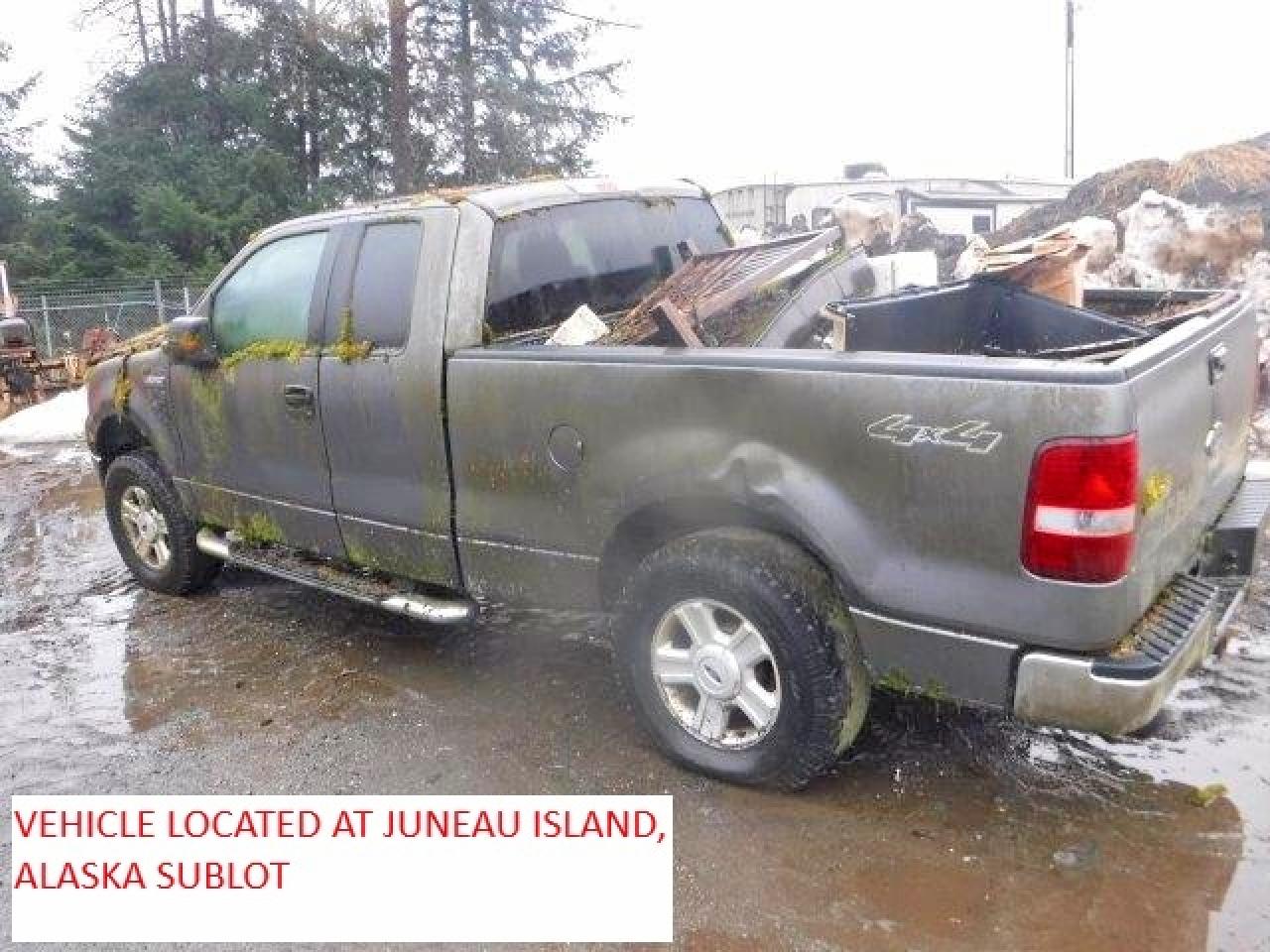 2004 Ford F150 Gray vin: 1FTPX14554NA28570