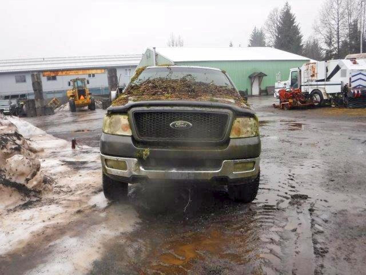 2004 Ford F150 Gray vin: 1FTPX14554NA28570