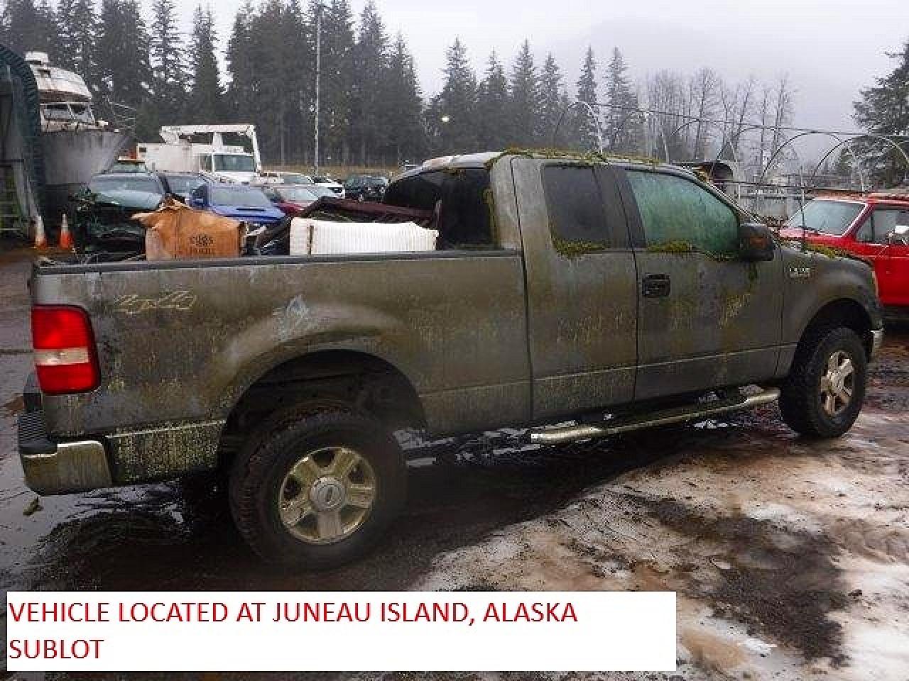 2004 Ford F150 Gray vin: 1FTPX14554NA28570