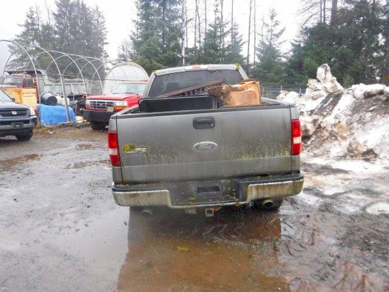 2004 Ford F150 Gray vin: 1FTPX14554NA28570