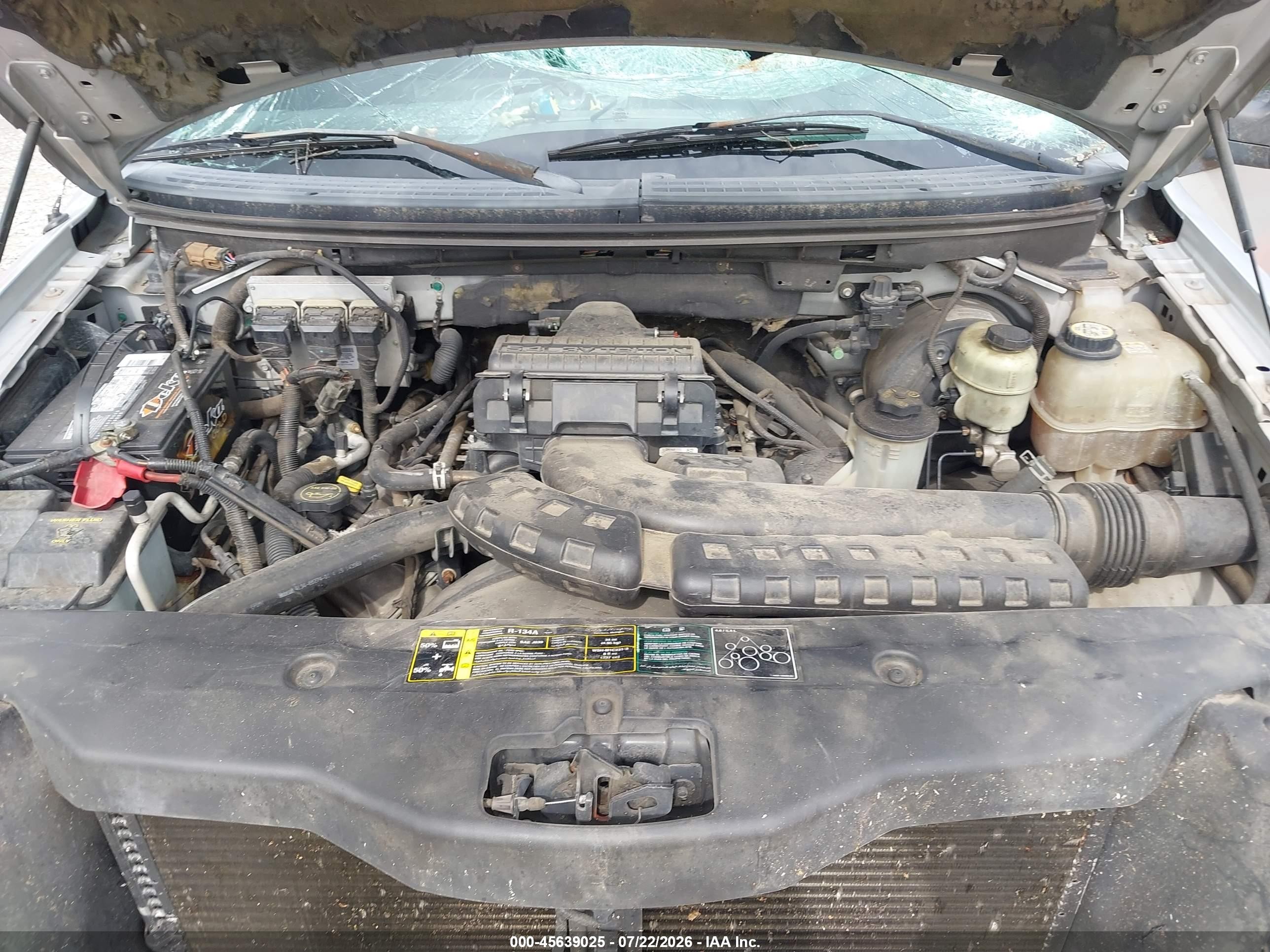 2004 Ford F-150   Gray vin: 1FTPX14594FA02242