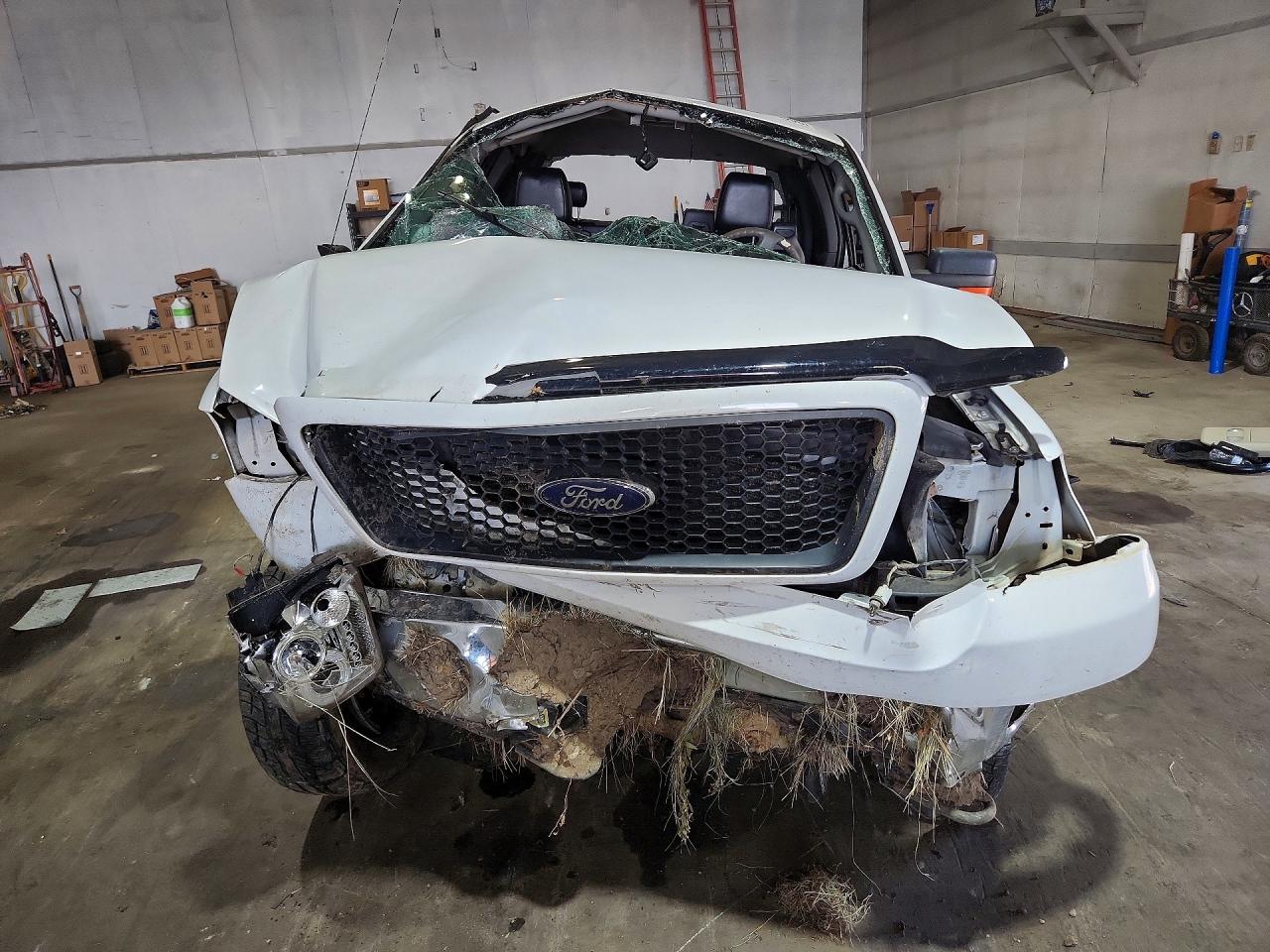 2006 Ford F150 Белый vin: 1FTPX14V26NB26930