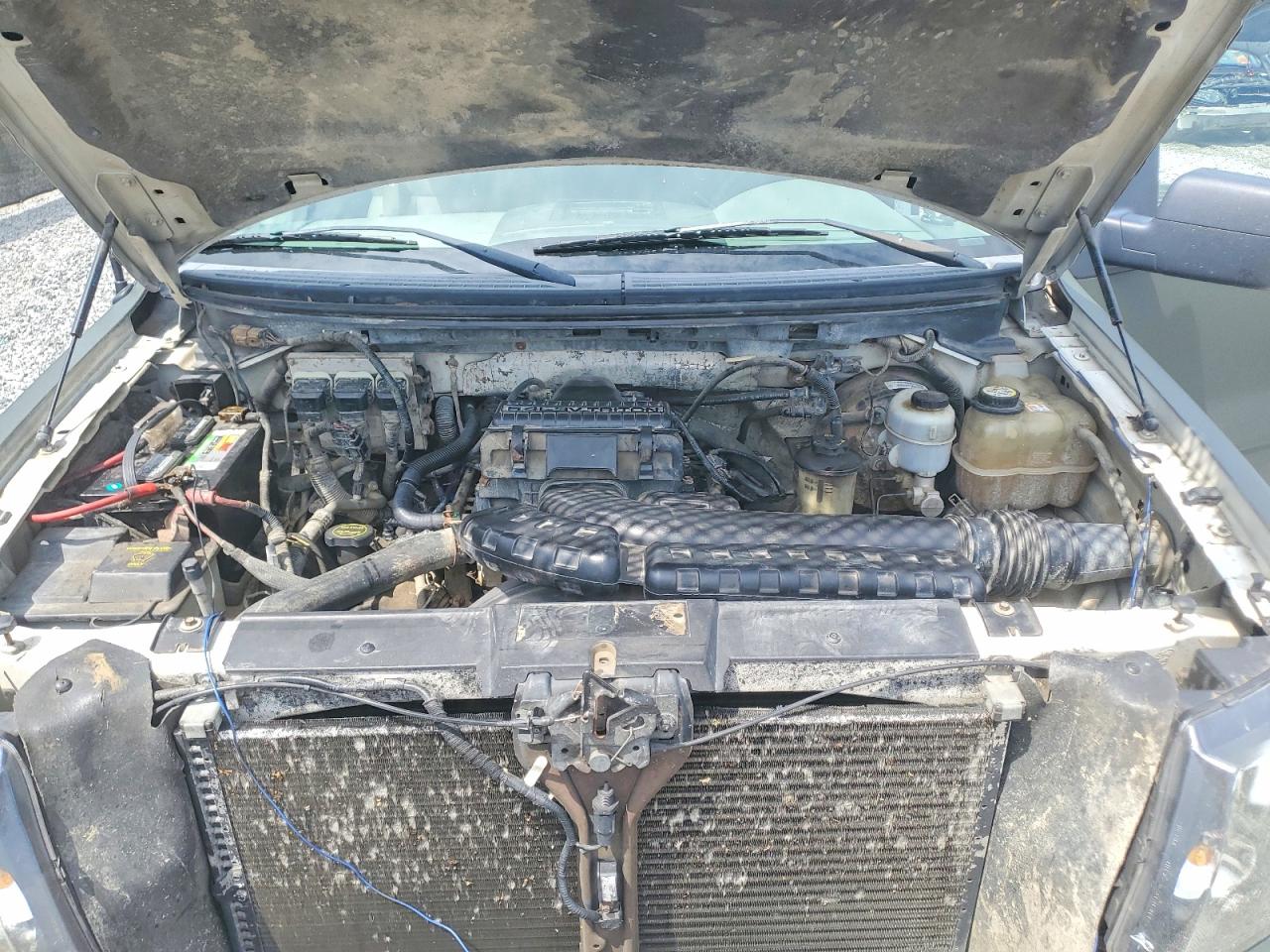2008 Ford F150 Green vin: 1FTPX14V38FA19561