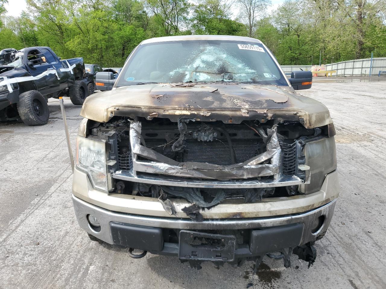 2009 Ford F150 Super Cab Beige vin: 1FTPX14V59FA81321