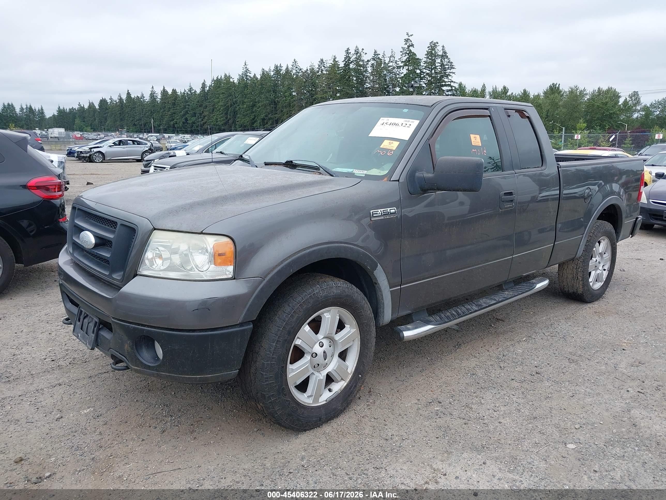 2007 Ford F-150 Fx4/lariat/xl/xlt Серый vin: 1FTPX14V67FA73421