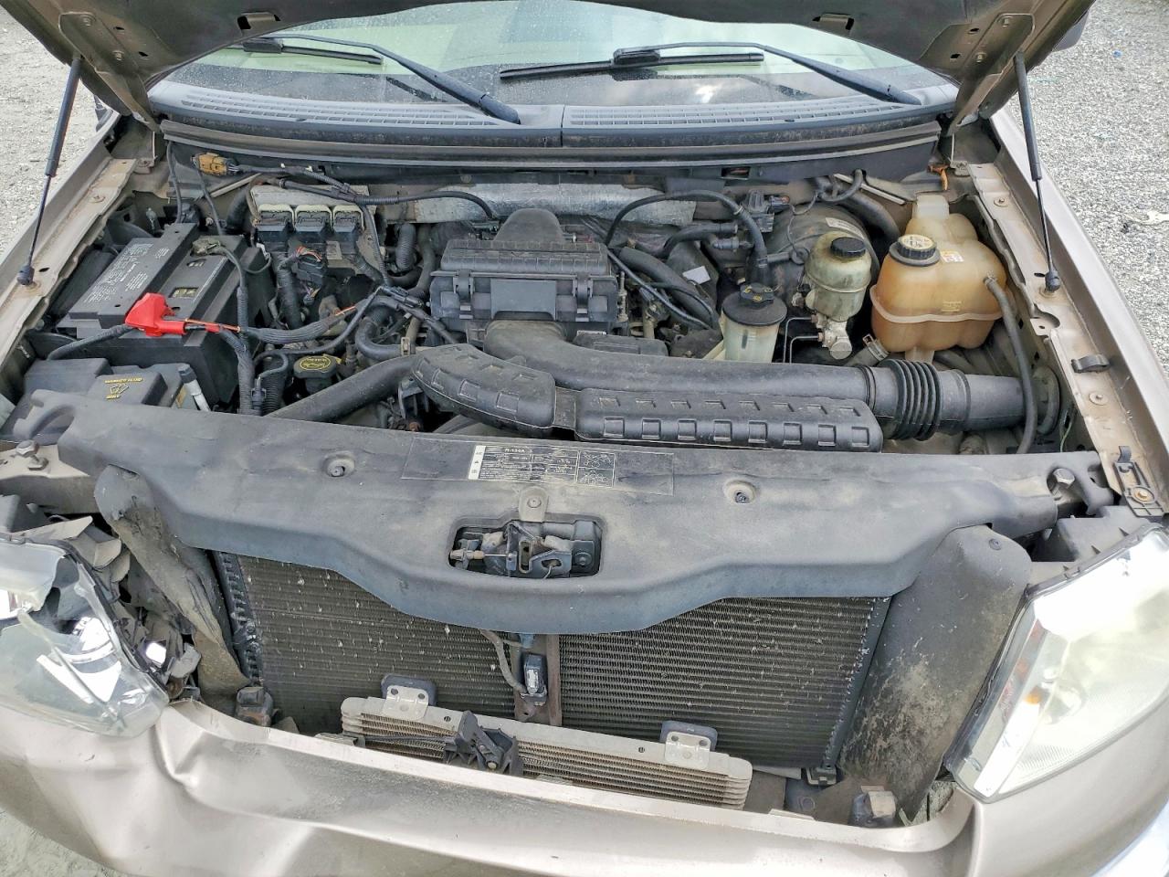 2006 Ford F150 Tan vin: 1FTPX14VX6NB46956