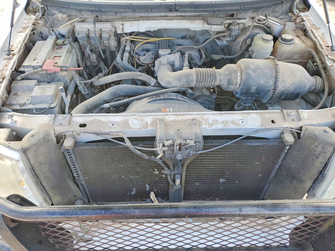 2005 Ford F150 White vin: 1FTRF12205NA95602