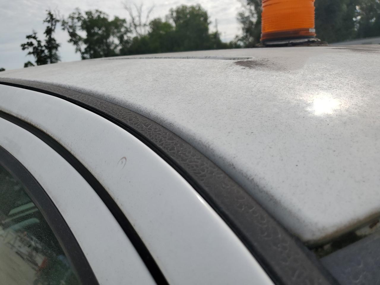 2008 Ford F150 White vin: 1FTRF12208KC88032 Damage: Roof Panel, Enviro Paint Damage, > 12 Inches