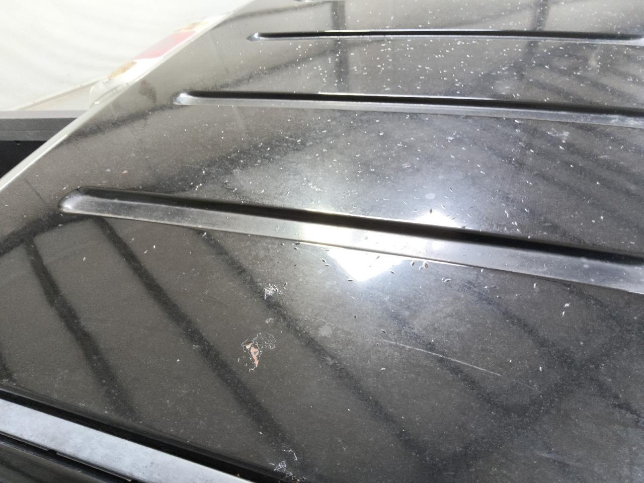2008 Ford F150 Black vin: 1FTRF12208KD24074 Damage: Roof, Heavy Scratch, 4 To 5 Inches