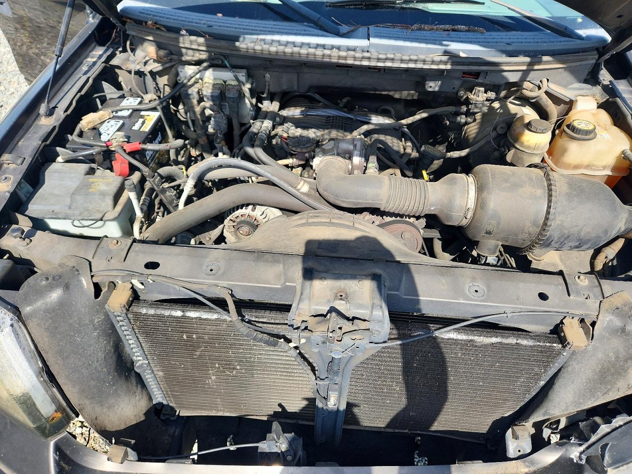 2006 Ford F150 Brown vin: 1FTRF12246NB67936