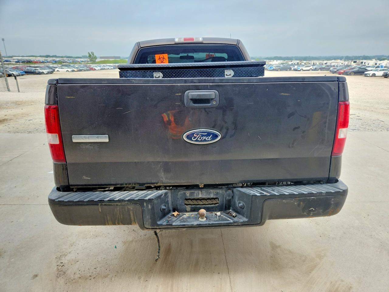 2005 Ford F150 Tan vin: 1FTRF12265NB56886