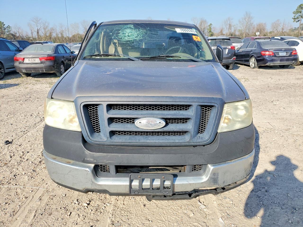 2005 Ford F150 Tan vin: 1FTRF12265NB93064