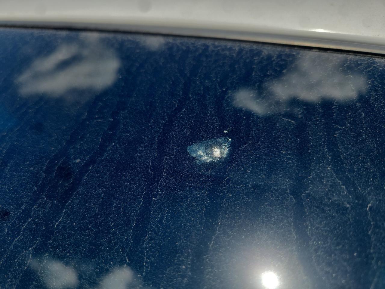 2007 Ford F150 White vin: 1FTRF12W17KD54167 Damage: Windshield, Star In Glass, 1/2 To 1 Inch