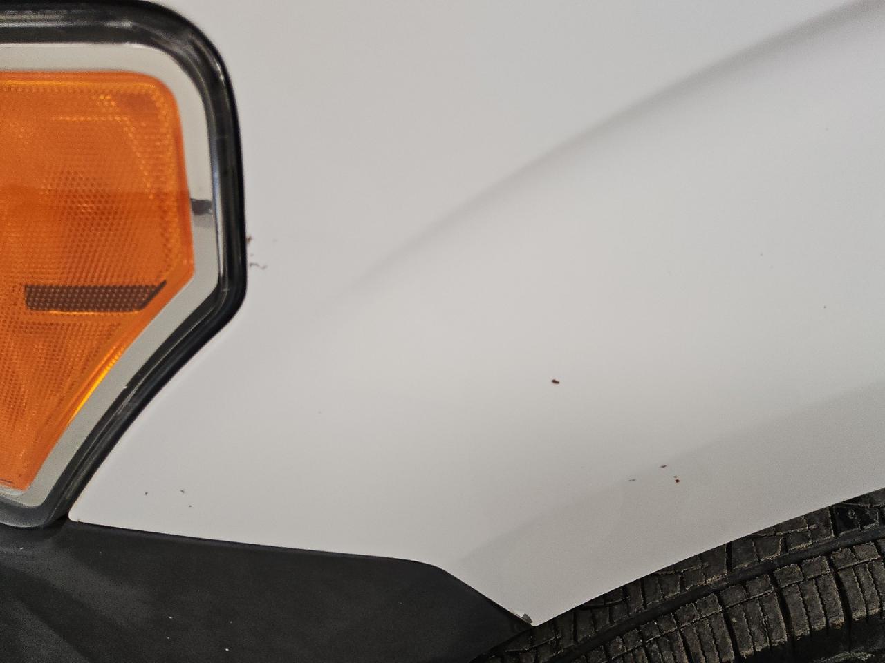 2009 Ford F150 Белый vin: 1FTRF12W49KA89179 Damage: Left Front Fender, Heavy Scratch, 1 To 2 Inches