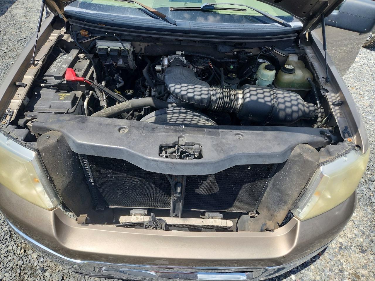 2006 Ford F150 Желто-коричневый vin: 1FTRF12W56NA76208