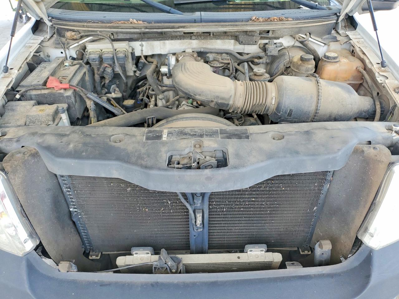 2006 Ford F150 White vin: 1FTRF12W56NB89172