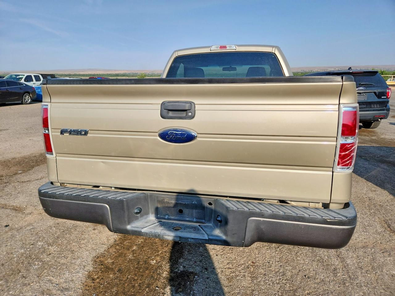 2009 Ford F-150 Beige vin: 1FTRF12W69KB56798