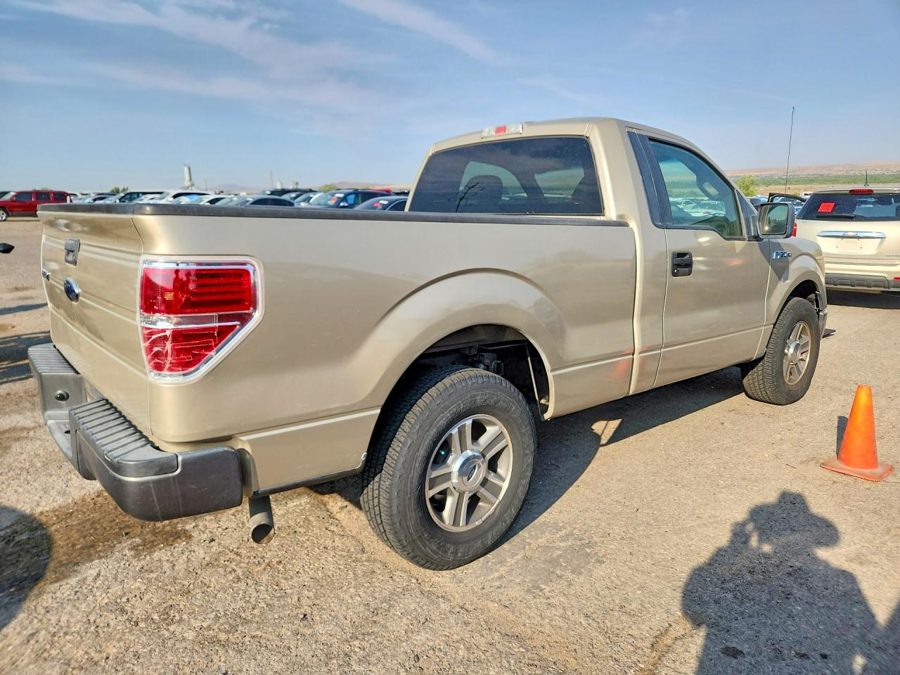 2009 Ford F-150 Beige vin: 1FTRF12W69KB56798