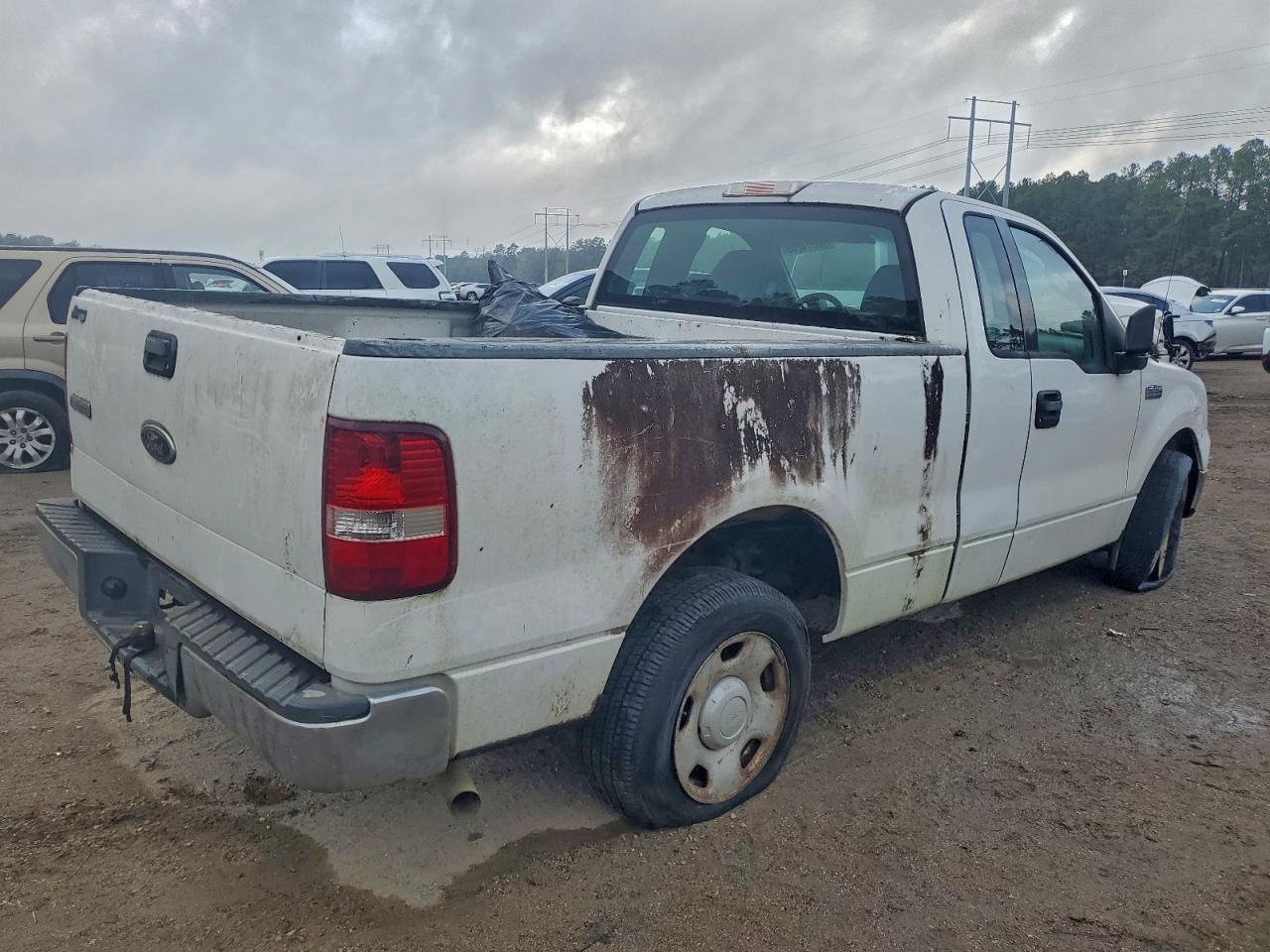 2004 Ford F-150 White vin: 1FTRF12W74NC60238