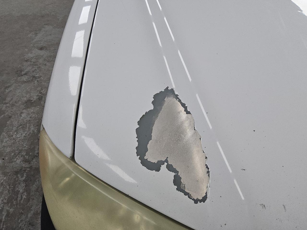 2008 Ford F150 White vin: 1FTRF12W88KE22756 Damage: Hood, Peeling, 9 To 10 Inches